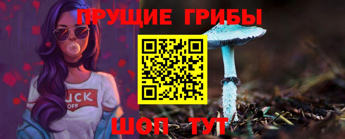 Новотроицк  Галлюциногенные грибы GOLDEN TEACHER  Галлюциногенные грибы мицелий  Вход с VPN 